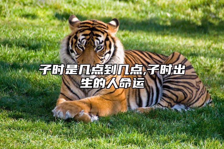 子时是几点到几点,子时出生的人命运 子时是从几点到几点为子时
