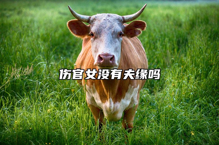 伤官女没有夫缘吗 伤官女有幸福的吗
