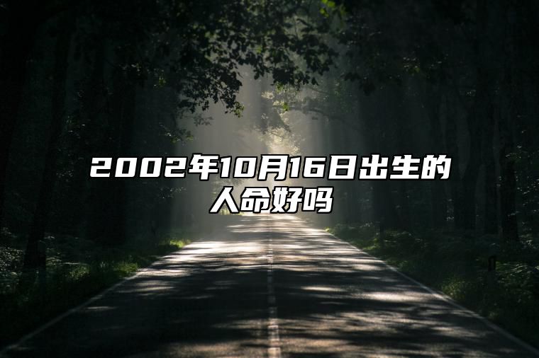 2002年10月16日出生的人命好吗 八字运势、婚姻、事业详解