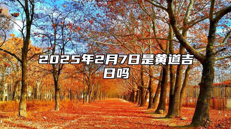 2025年2月7日是黄道吉日吗 今日黄历查询详解