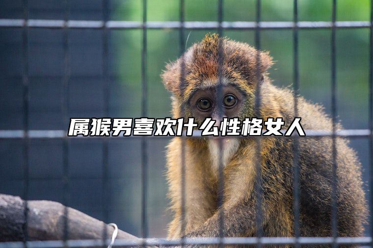 属猴男喜欢什么性格女人 什么属相管得住猴