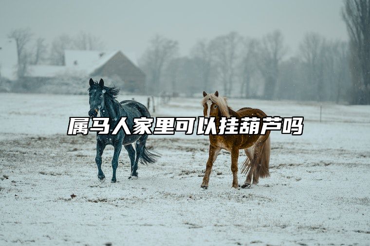 属马人家里可以挂葫芦吗 属马的人家里可以挂马像图吗