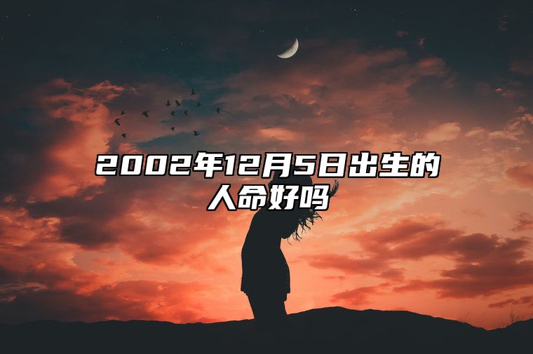 2002年12月5日出生的人命好吗 五行缺什么命运好不好