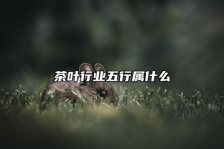 茶叶行业五行属什么？
