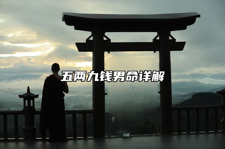 五两九钱男命详解 五两9钱男命的解读
