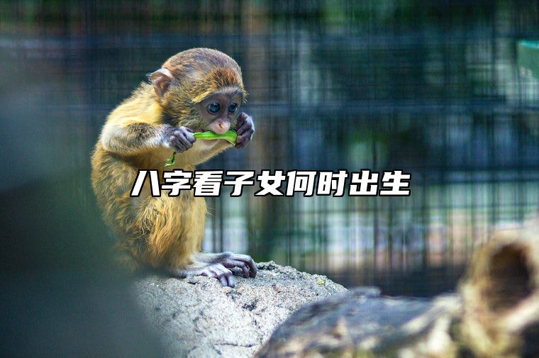 八字看子女何时出生 从八字看何时生子