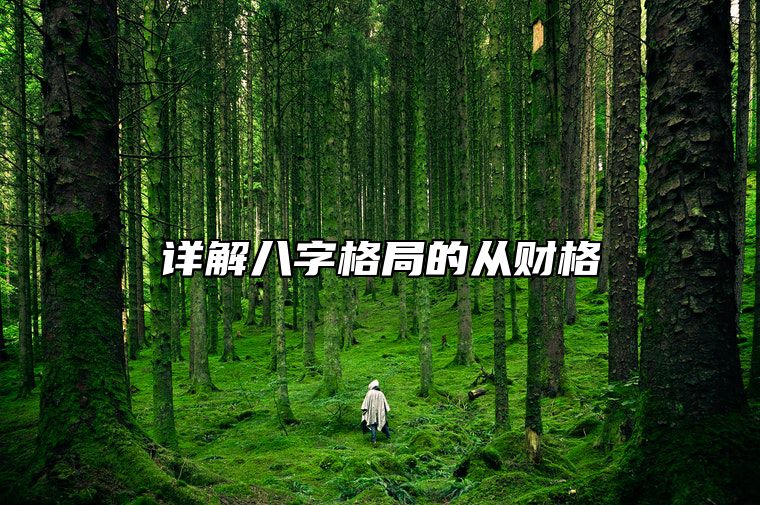 详解八字格局的从财格 命理从财格