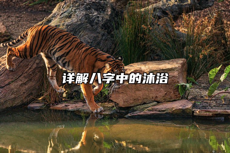详解八字中的沐浴 生辰八字里的沐浴是什么意思