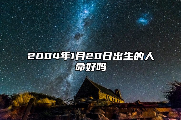 2004年1月20日出生的人命好吗 生辰八字、事业财运解析