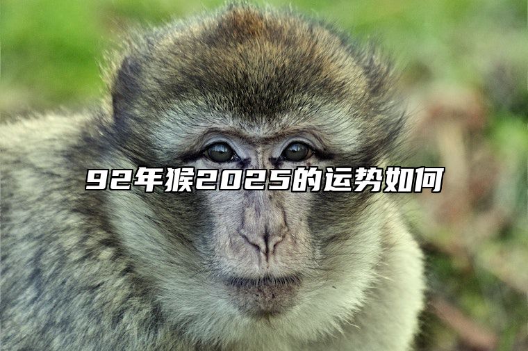92年猴2025的运势如何 1992年属猴女的三大坎