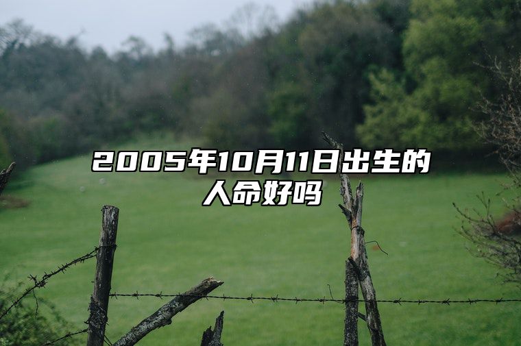 2005年10月11日出生的人命好吗 生辰八字分析