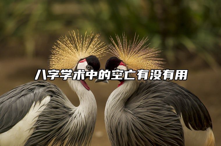 八字学术中的空亡有没有用？