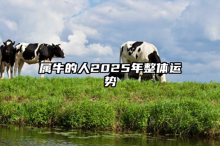 属牛的人2025年整体运势 2025生肖牛的人全年运程