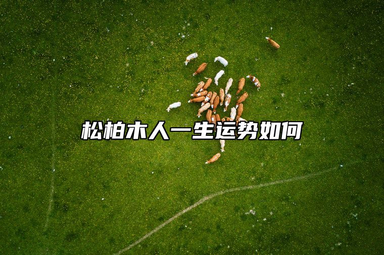 松柏木人一生运势如何 松柏木人一生运势如何样