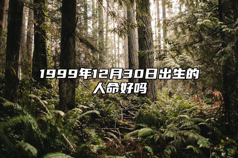 1999年12月30日出生的人命好吗 命运如何五行缺什么