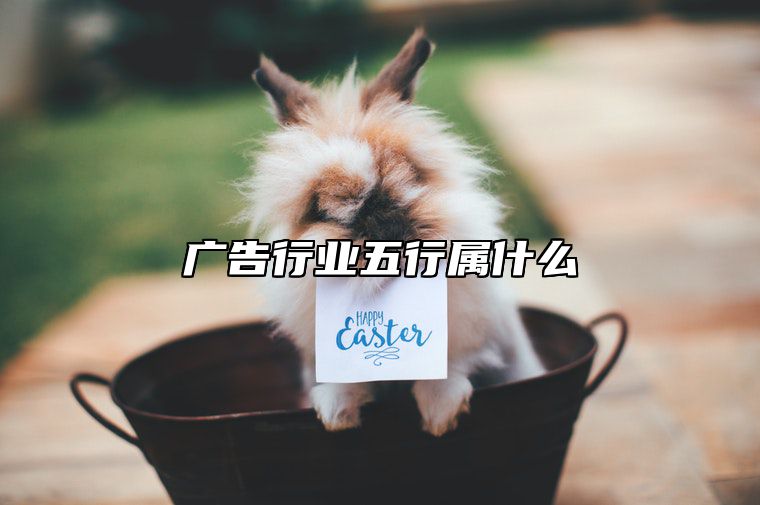 广告行业五行属什么？