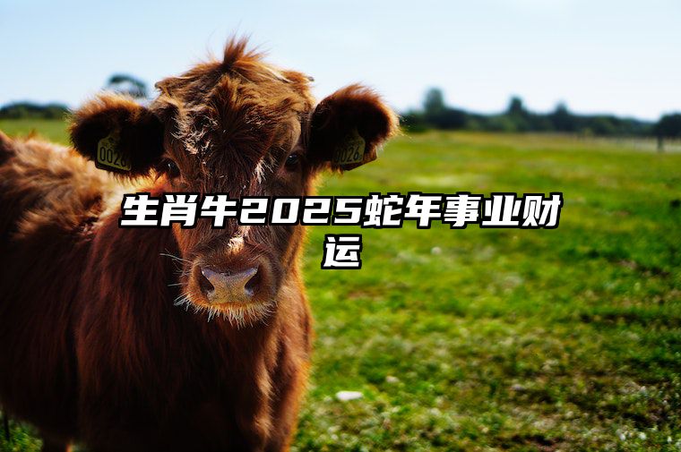 生肖牛2025蛇年事业财运 属牛的人2025年整体运势