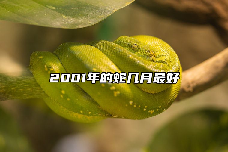 2001年的蛇几月最好 2001年的蛇几月份最好