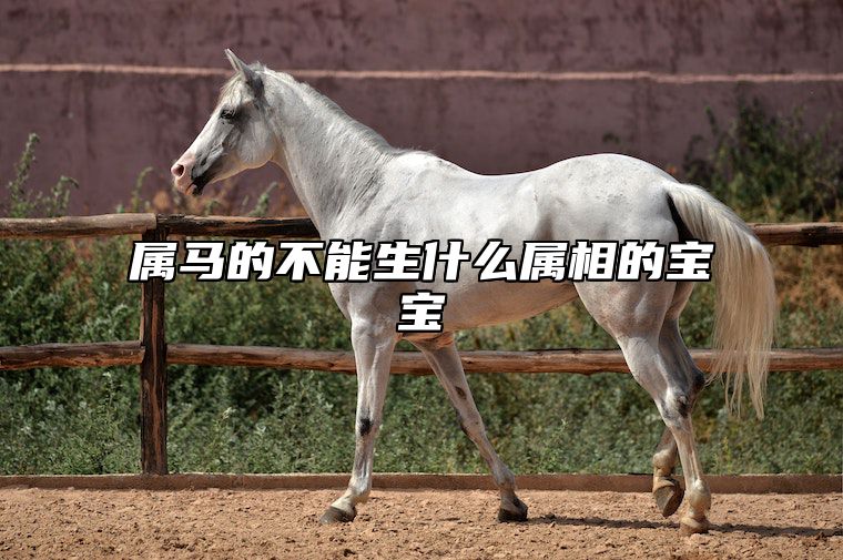 属马的不能生什么属相的宝宝 属马找对象属什么最佳