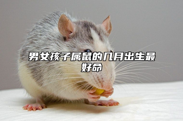 男女孩子属鼠的几月出生最好命