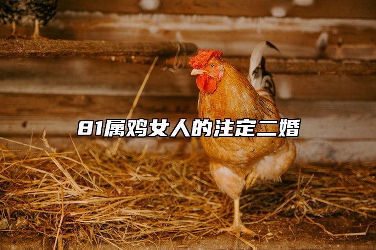 81属鸡女人的注定二婚 81年属鸡女晚年凄凉