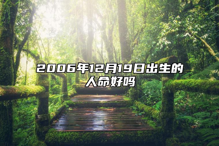 2006年12月19日出生的人命好吗 生辰八字运势详解