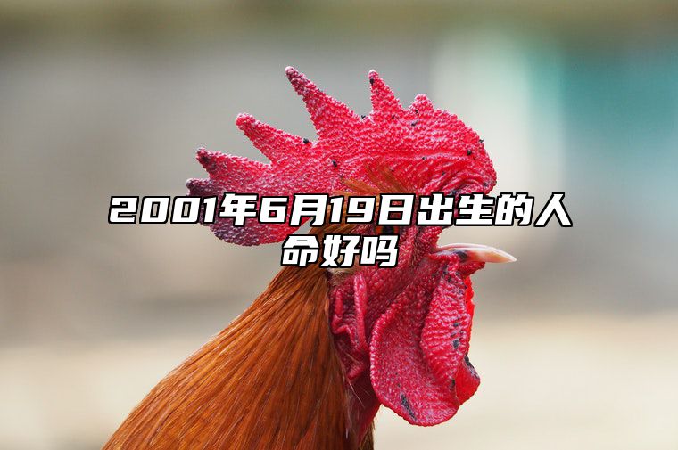 2001年6月19日出生的人命好吗 八字事业财运、感情婚姻