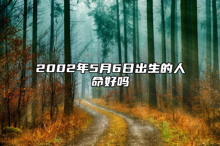 2002年5月6日出生的人命好吗 五行缺什么命运好不好