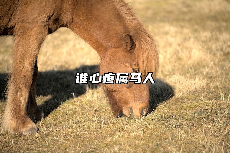 谁心疼属马人 