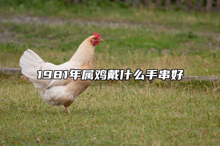 1981年属鸡戴什么手串好 1981年属鸡戴什么手串好呢