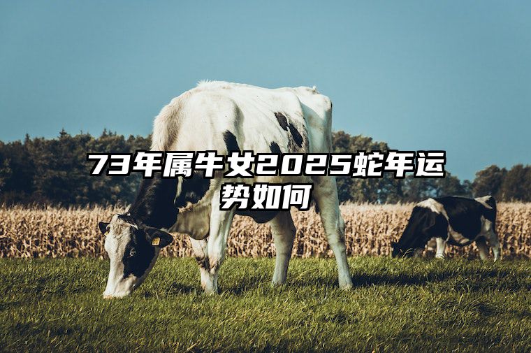 73年属牛女2025蛇年运势如何 73年属牛女2023年的运势和婚姻