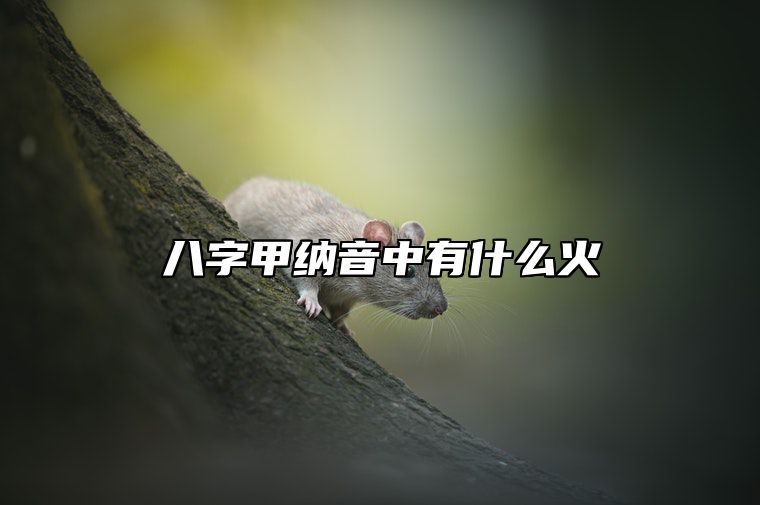 八字甲纳音中有什么火 八字纳音五行详解(火)
