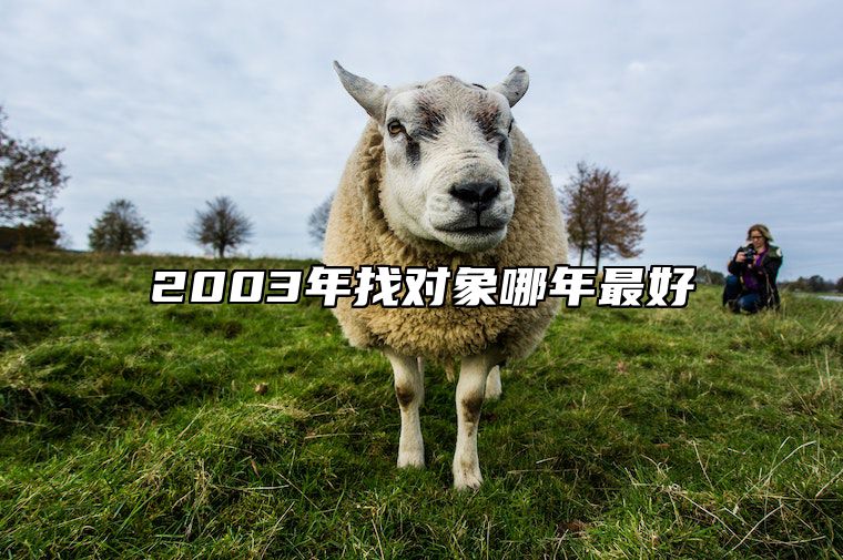2003年找对象哪年最好 03年应该找什么生肖的对象