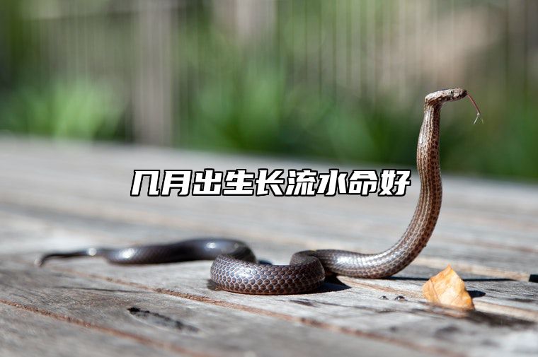 几月出生长流水命好 出生在几月的人命好