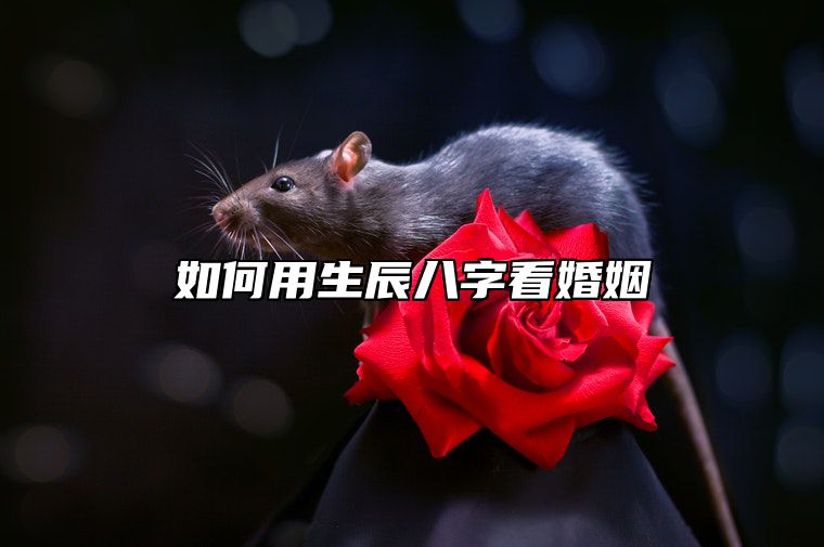 如何用生辰八字看婚姻 如何用生辰八字看婚姻好坏