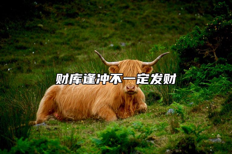 财库逢冲不一定发财 财库冲开是什么意思