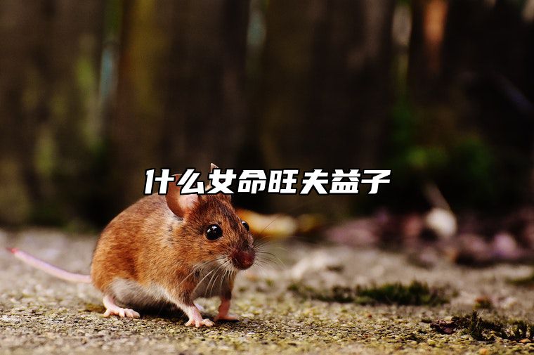 什么女命旺夫益子 