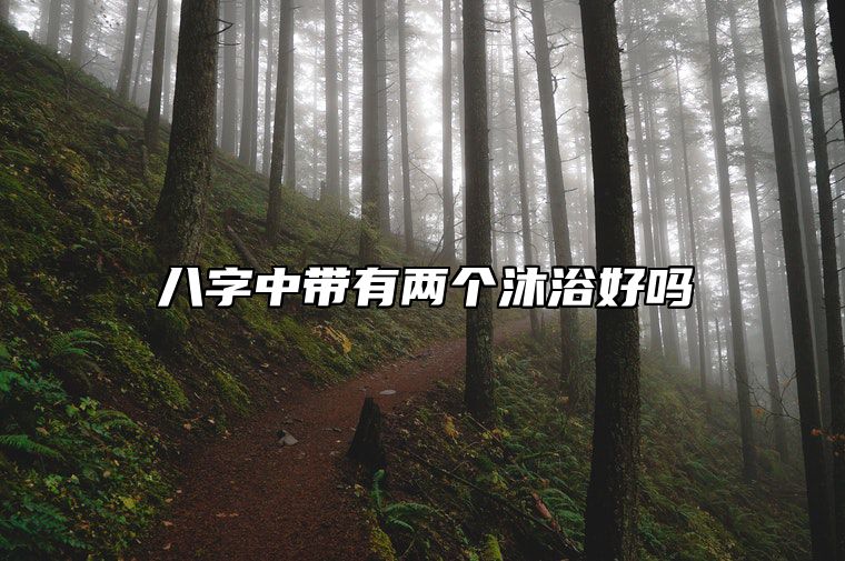 八字中带有两个沐浴好吗 八字有沐浴代表什么