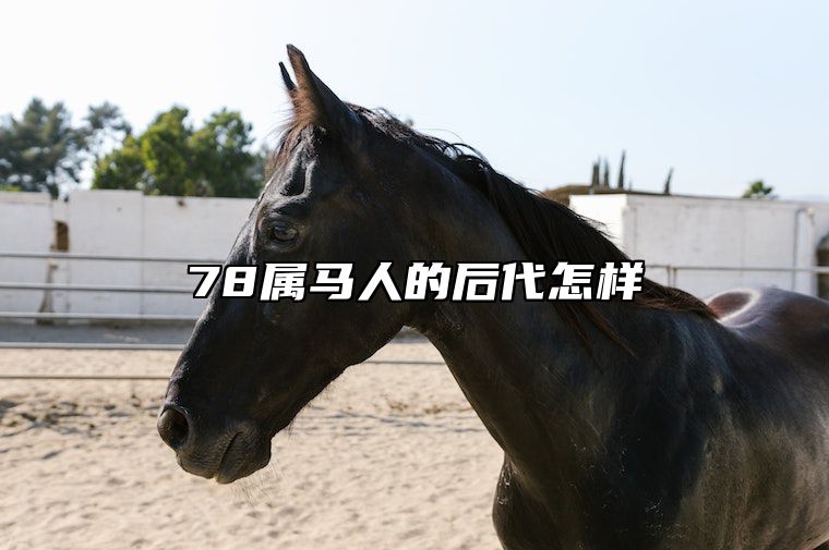 78属马人的后代怎样 78属马一生有几个孩子