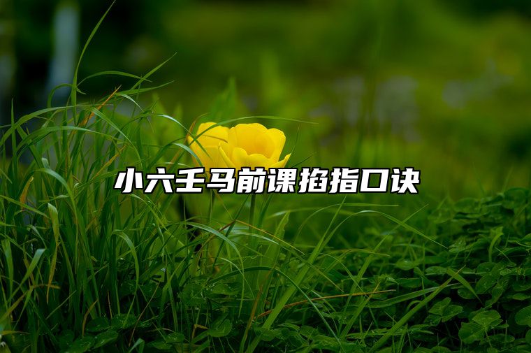 小六壬马前课掐指口诀 马前课小六壬速断大全