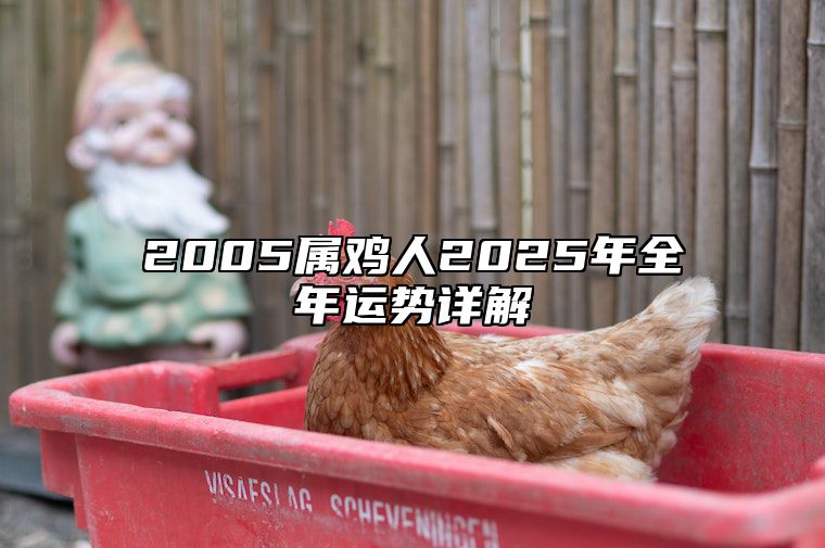 2005属鸡人2025年全年运势详解 2005年鸡在2022年运势