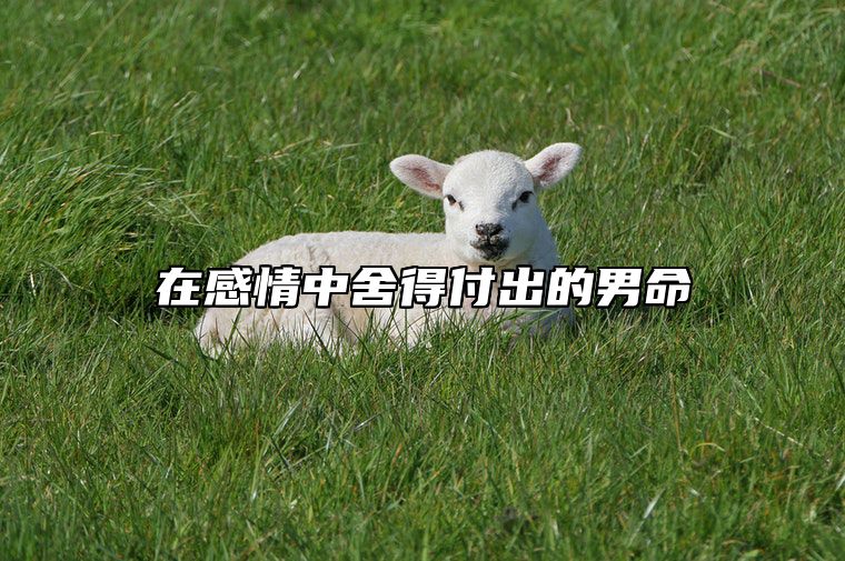 在感情中舍得付出的男命 舍得付出的人会有回报