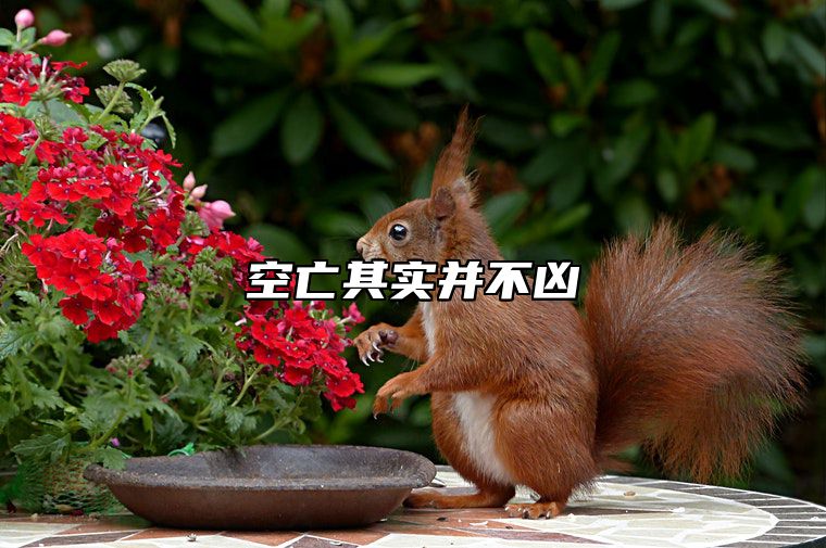 空亡其实并不凶 空亡好不好