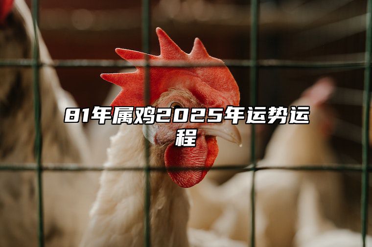 81年属鸡2025年运势运程 1981年属鸡2025年运势