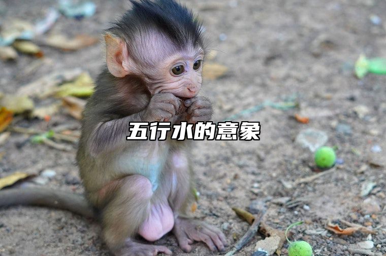 五行水的意象 五行水的意象是什么