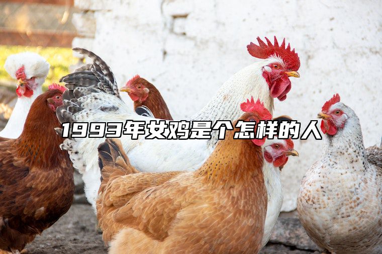 1993年女鸡是个怎样的人 93年女鸡命运如何