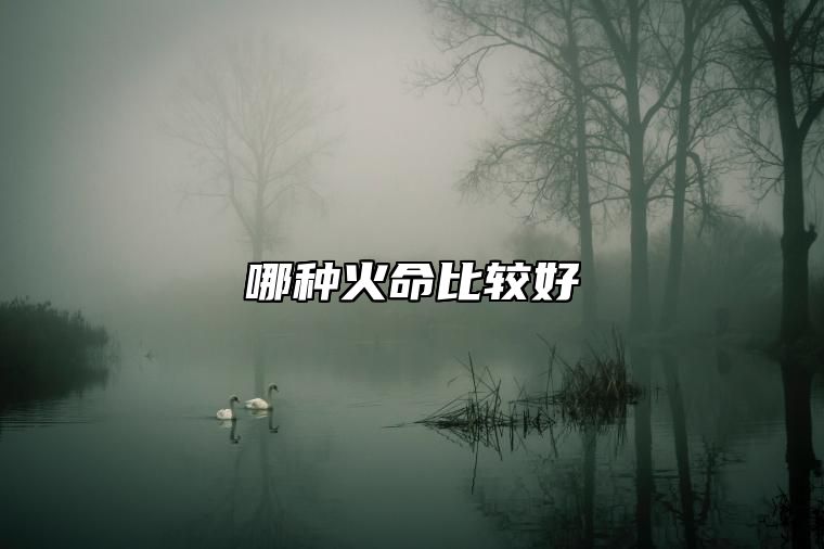 哪种火命比较好 火命哪种火最旺