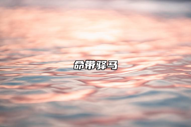 命带驿马 命带驿马的女人