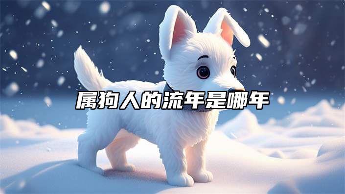 属狗人的流年是哪年 属狗的流年是哪一年