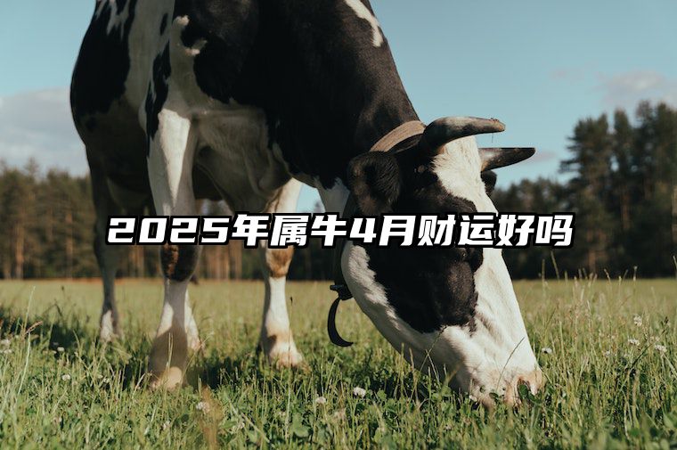 2025年属牛4月财运好吗 属牛2025年运势及运程每月运程